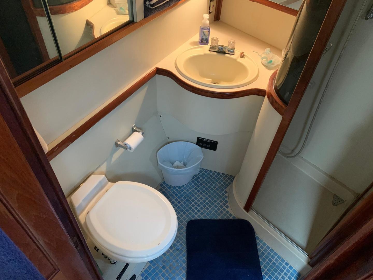 Gulfstar 49 - VIP Area